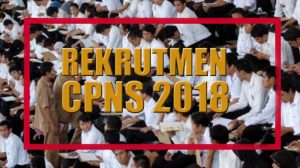 ilustrasi-cpns-2018