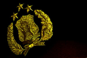 Kepolisian