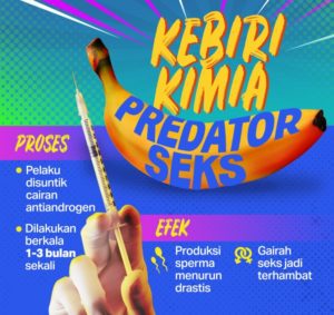 Kebiri Kimia