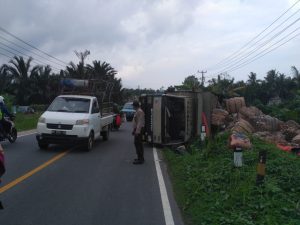 truk kardus