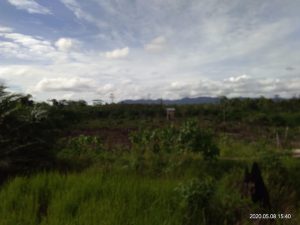 IMG-20200515-WA0065
