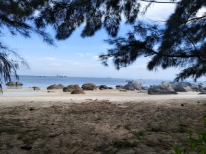 IMG-20200821-WA0068
