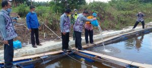 IMG-20210702-WA0014