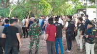 belembang 5