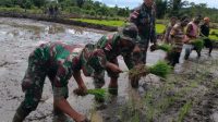 ketahanan pangan TNI