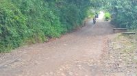 IMG_20241231_093453