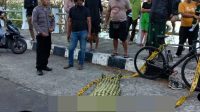 IMG-20250814-WA0135